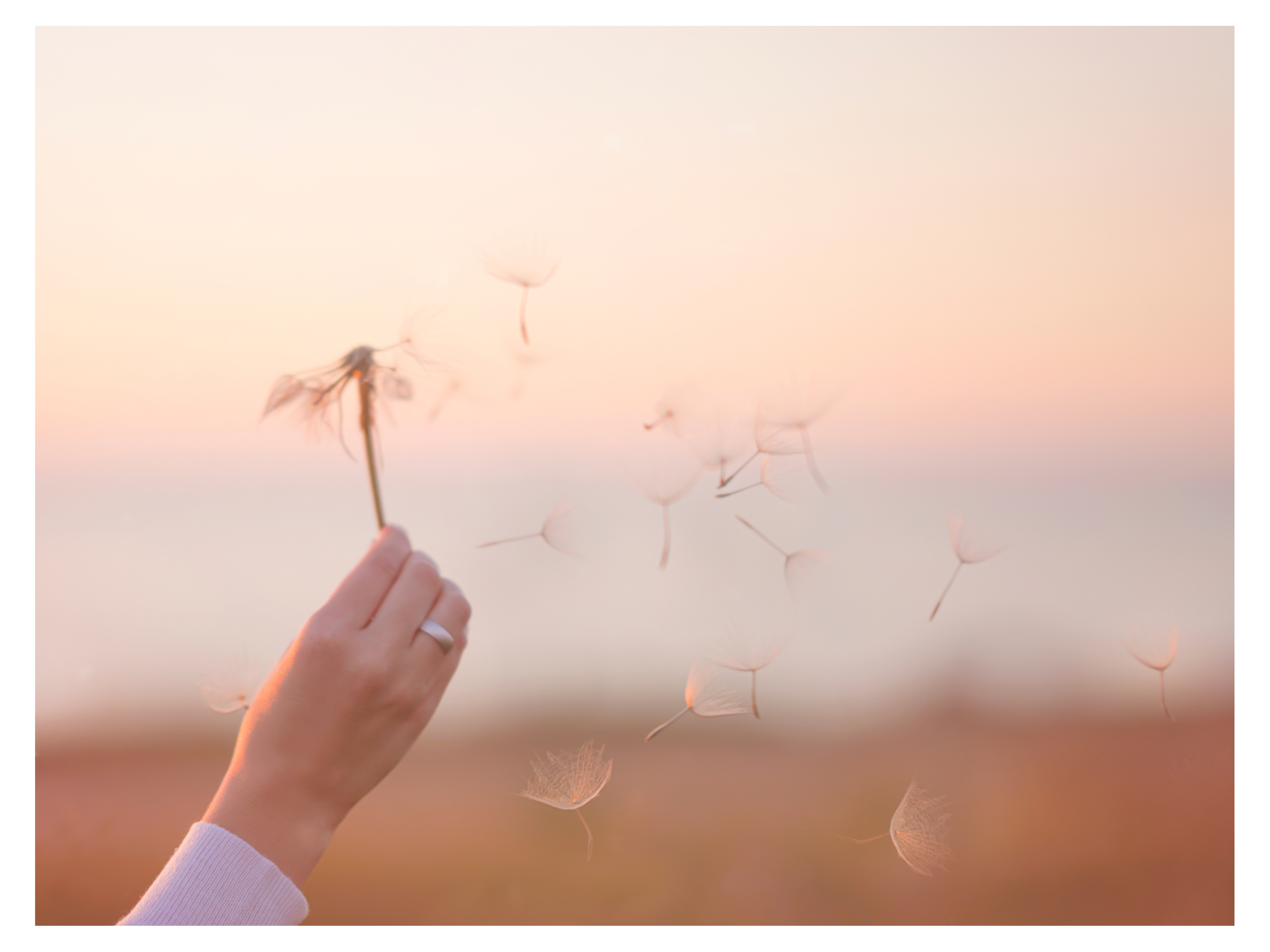 Photo pour accueil bandeau contactez moi