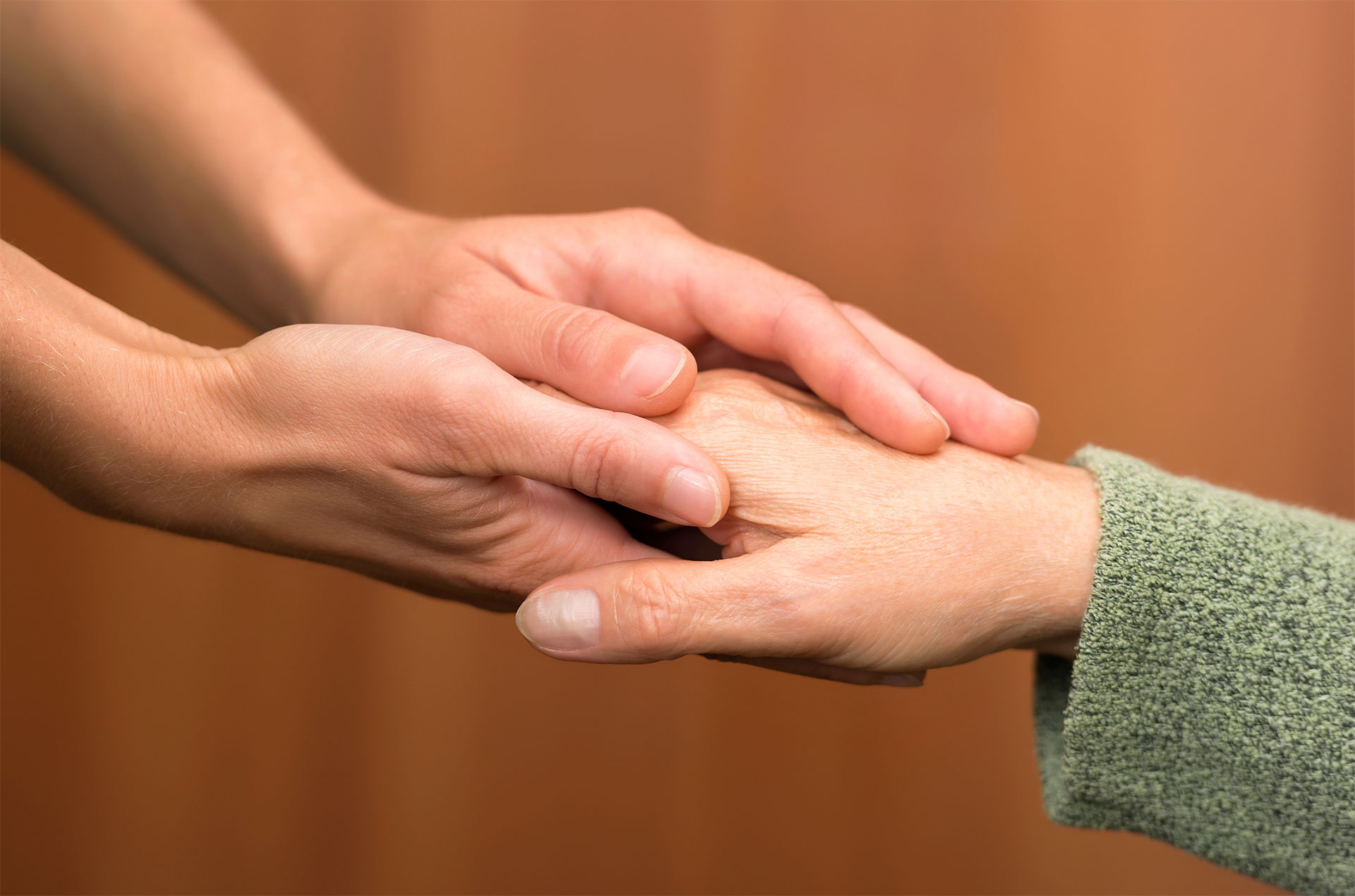 Conseil / Accompagnement 